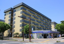 辰巳港湾住宅